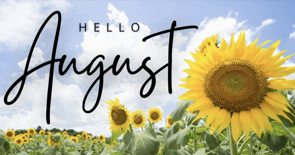 August Promotions Banner